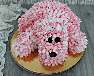 Doggie cake