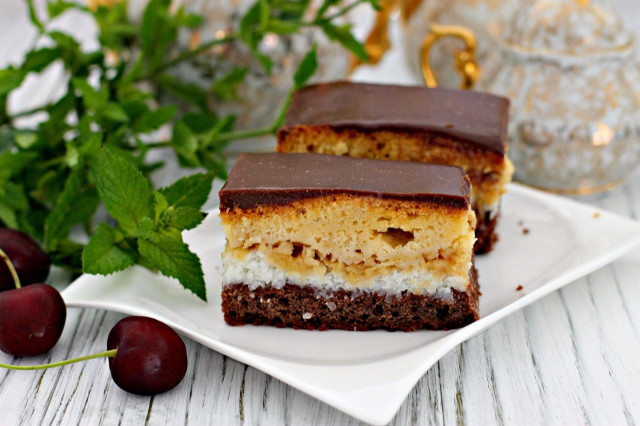 Apple and coconut cake