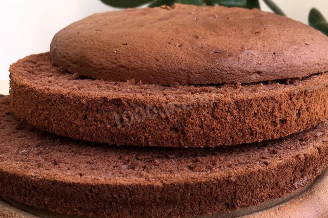 Classic chocolate sponge cake with cinnamon