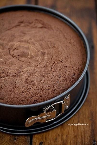 Classic Genoese chocolate sponge cake