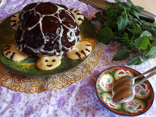 Turtle cake with condensed milk