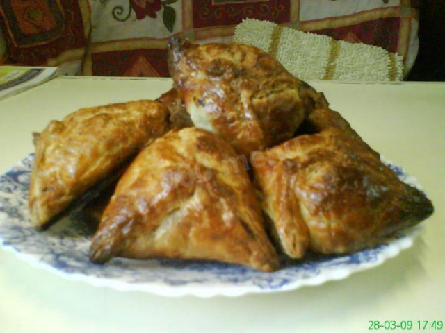 Tender and juicy samsa