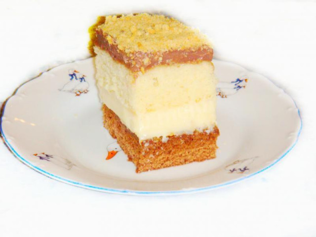 Dancing sponge cake with custard