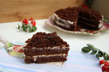 Chocolate cake with sour cream and coffee impregnation