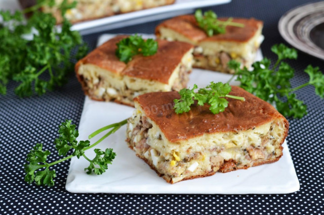 Aspic pie with canned fish on kefir