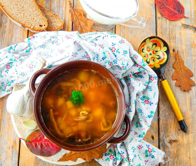 Mushroom soup from fresh honey mushrooms