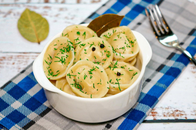 Homemade turkey dumplings