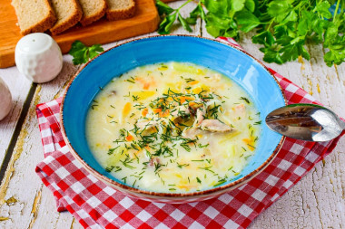 Chicken soup with melted cheese and vermicelli