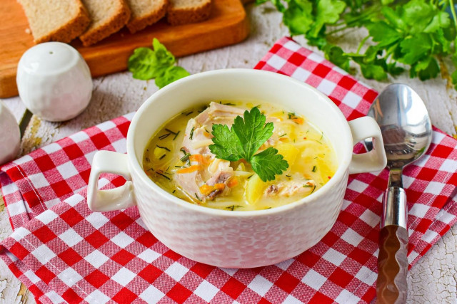 Chicken soup with melted cheese and vermicelli