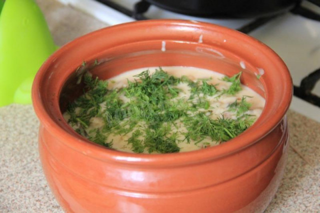 Meat balls with sour cream and mushroom sauce in a pot