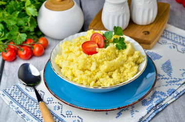 Millet porridge in a slow cooker on water