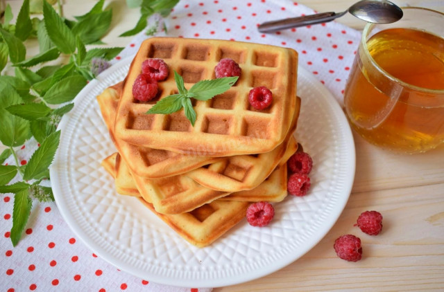 Viennese waffles on kefir