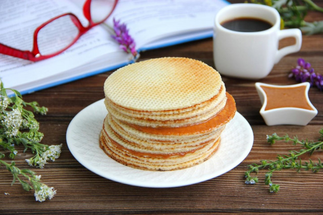 Dutch waffles with dry yeast