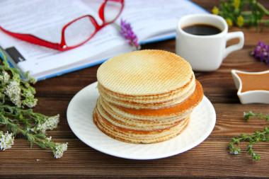 Dutch waffles with dry yeast