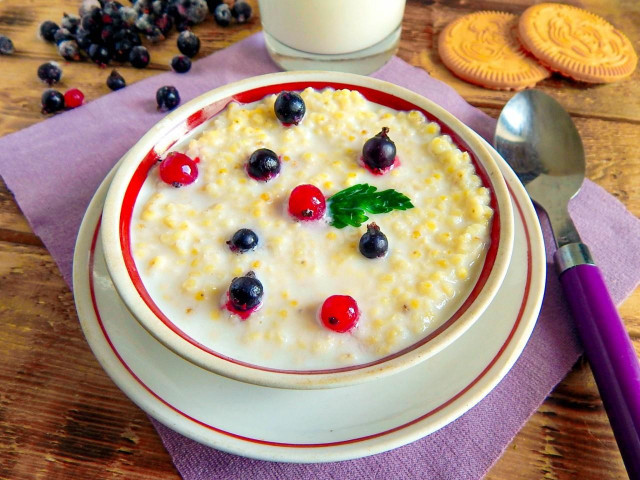 Millet porridge on milk in a slow cooker