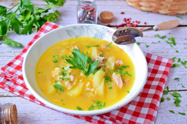 Soup with stewed meat and potatoes