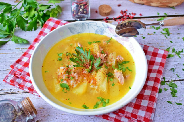 Soup with stewed meat and potatoes