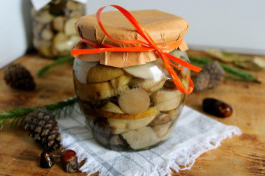 Pickled porcini mushrooms for winter