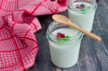 Homemade yogurt in a slow cooker with sourdough