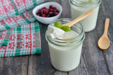 Homemade yogurt in a slow cooker with sourdough