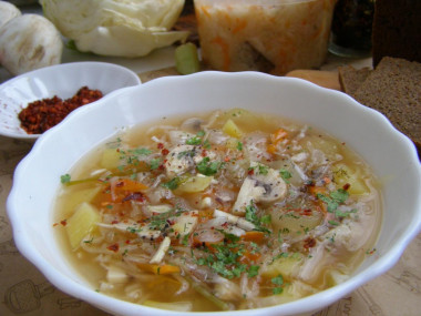 Lean cabbage soup from fresh and sauerkraut in a slow cooker