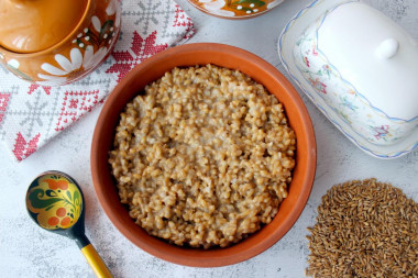 Spelt porridge on water