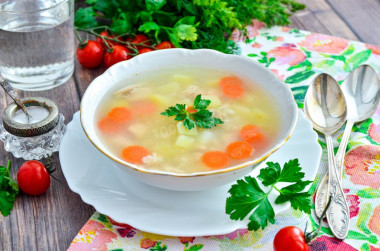 Soup with oatmeal and chicken