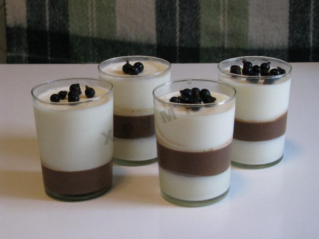 Panna cotta kefir