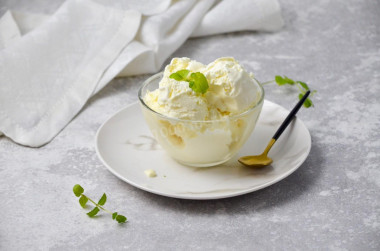 Homemade cream and condensed milk ice cream