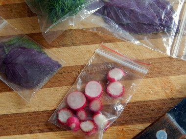 How to freeze radishes on winter