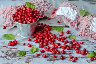 Frozen homemade lingonberries