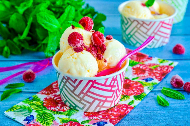 Homemade milk ice cream