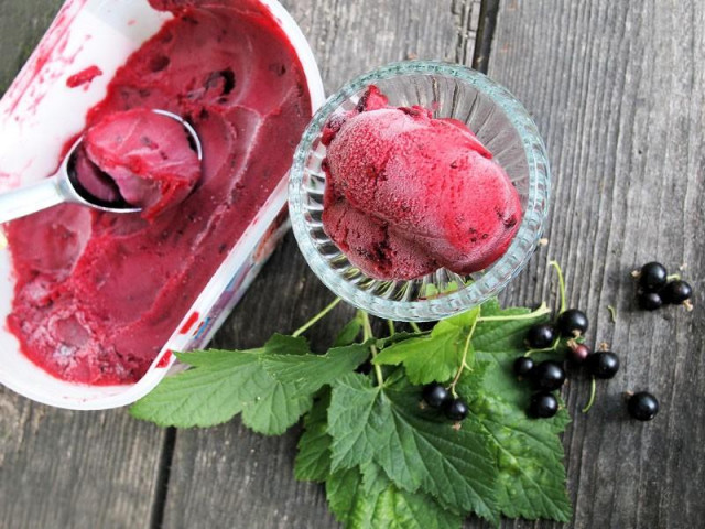 Blackcurrant sorbet