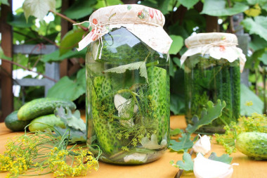 Pickles for winter in cold jars