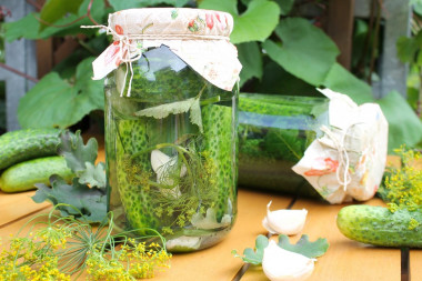 Pickles for winter in cold jars