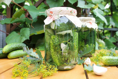 Pickles for winter in cold jars