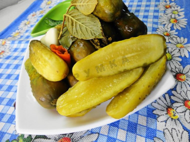 Pickling barrel cucumbers for winter