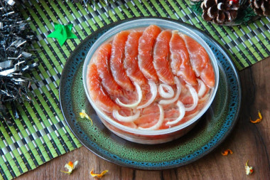 Pink salmon salted at home