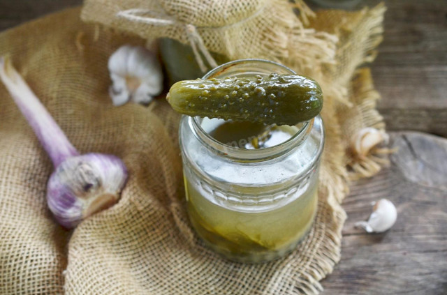 Pickles as cask cucumbers with mustard in jars for the winter