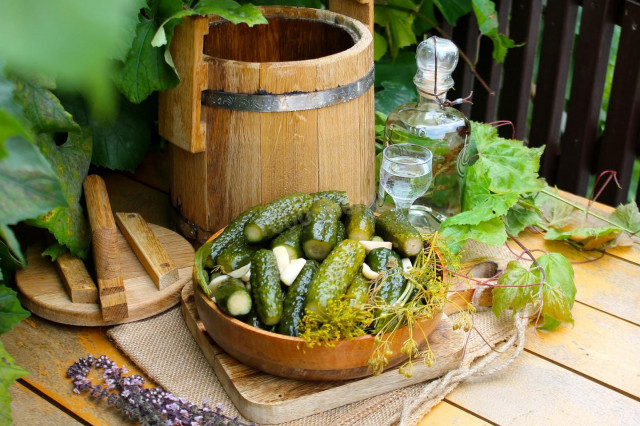 Pickling cucumbers in a barrel for winter in a cold way