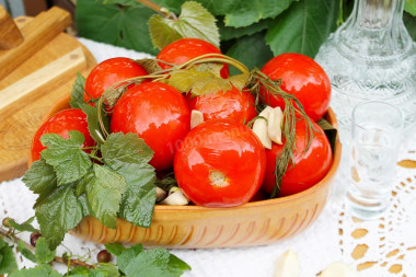 Salted barrel tomatoes