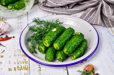 Lightly salted cucumbers in a bag with garlic and dill