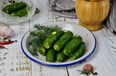 Lightly salted cucumbers in a bag with garlic and dill