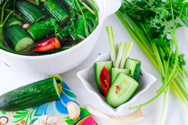 Lightly salted instant cucumbers in a saucepan