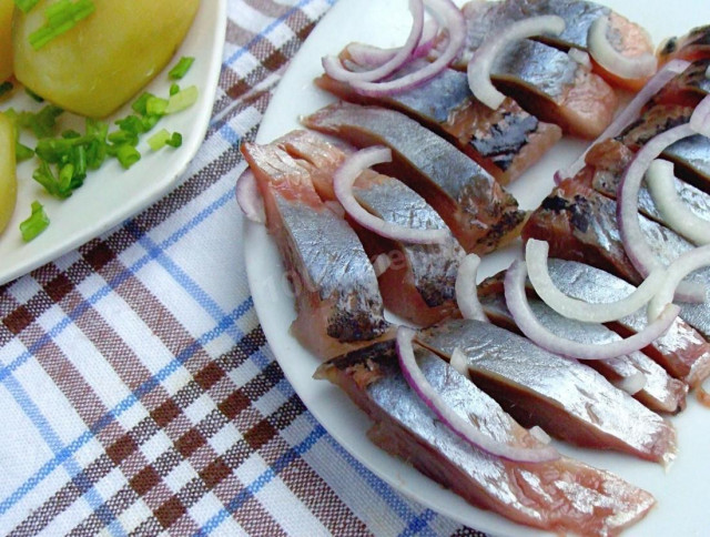 Lightly salted homemade herring