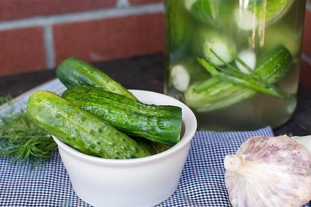 Lightly salted cucumbers with mustard