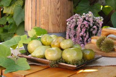 Green tomatoes in a barrel for winter