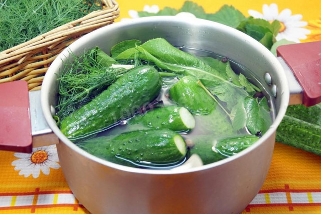 Lightly salted cucumbers with blackberry leaves