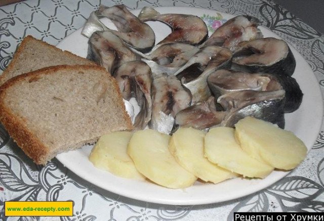 Herring marinated in vinegar