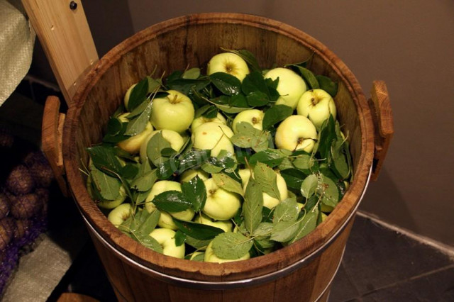 Soaked apples in a barrel for winter